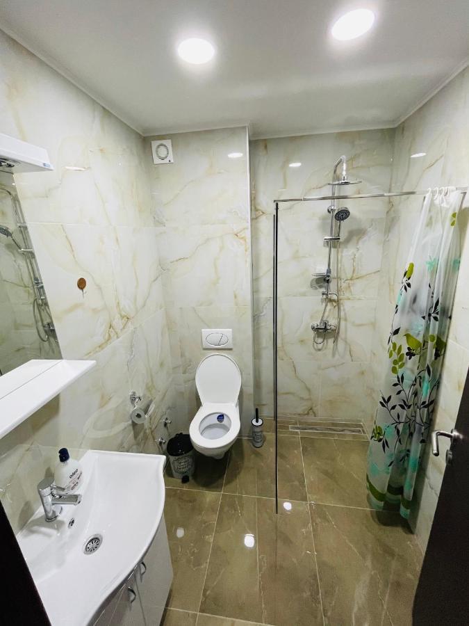 Apartmani Zivkovic Srebrno Jezero Veliko Gradiste Bagian luar foto