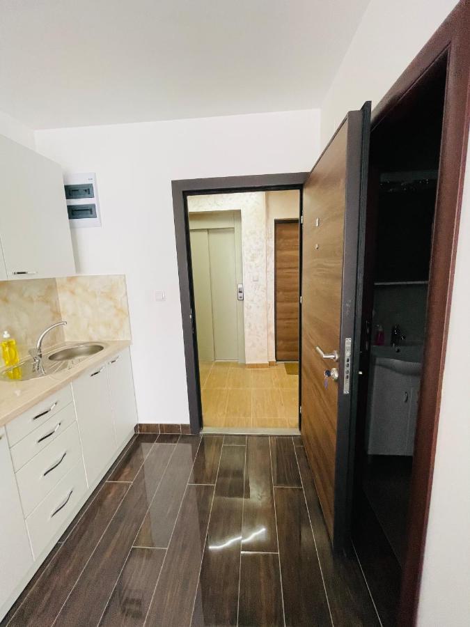 Apartmani Zivkovic Srebrno Jezero Veliko Gradiste Bagian luar foto